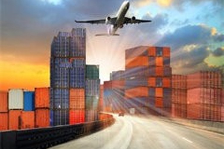 青島海鮮空運全流程指南 從機場物流到進出口報關的關鍵環節